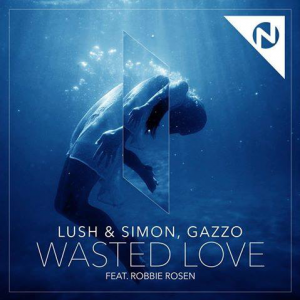 Lush & Simon Wasted Love